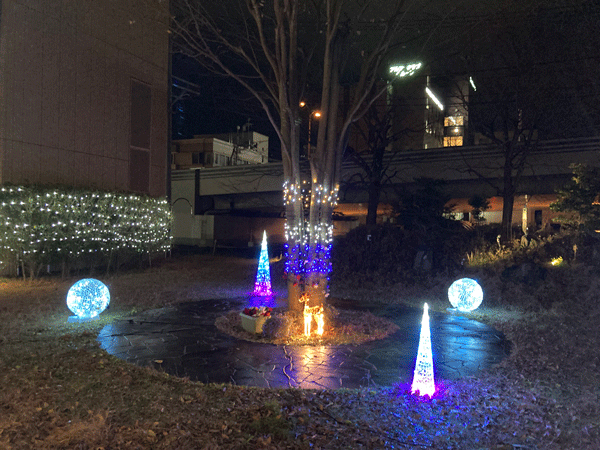 写真_クリスマスイルミネーション1